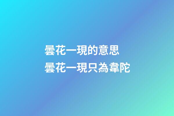 曇花一現的意思 曇花一現只為韋陀